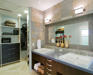 Gray-Gold Quartzite