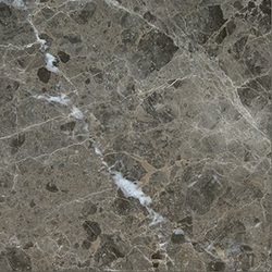 Arctic Gray