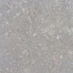 Grigio Alpi-honed