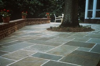 full color natural pattern