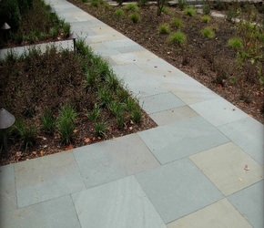 variegated color thermal pattern