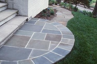 full color natural pattern and border