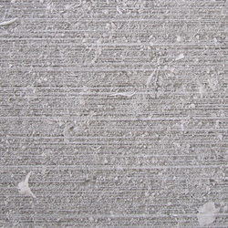 Grigio Alpi-corteccia