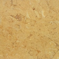 Isis Fossil