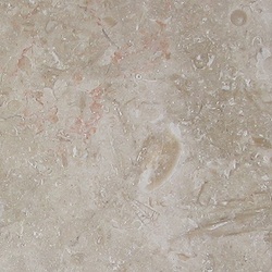 Ramon Gray/Jerusalem Gray