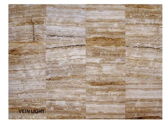 Vein Light