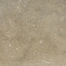 Olive/Seagrass